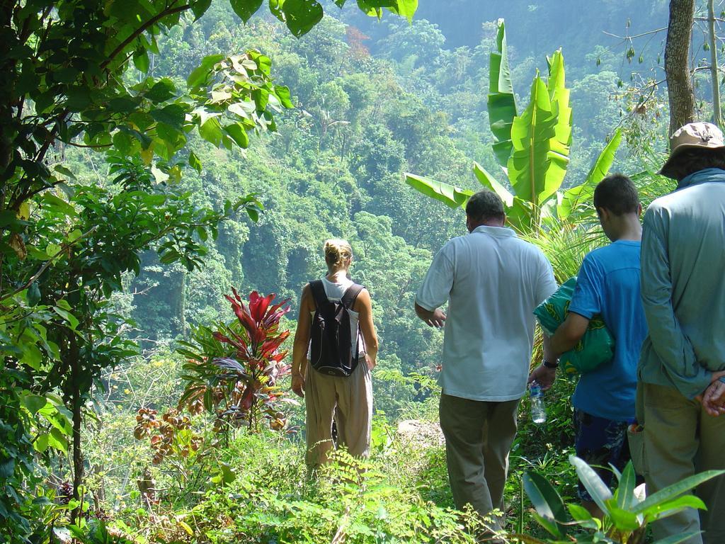 Gunung Paradis Retreat Munduk Eksteriør bilde