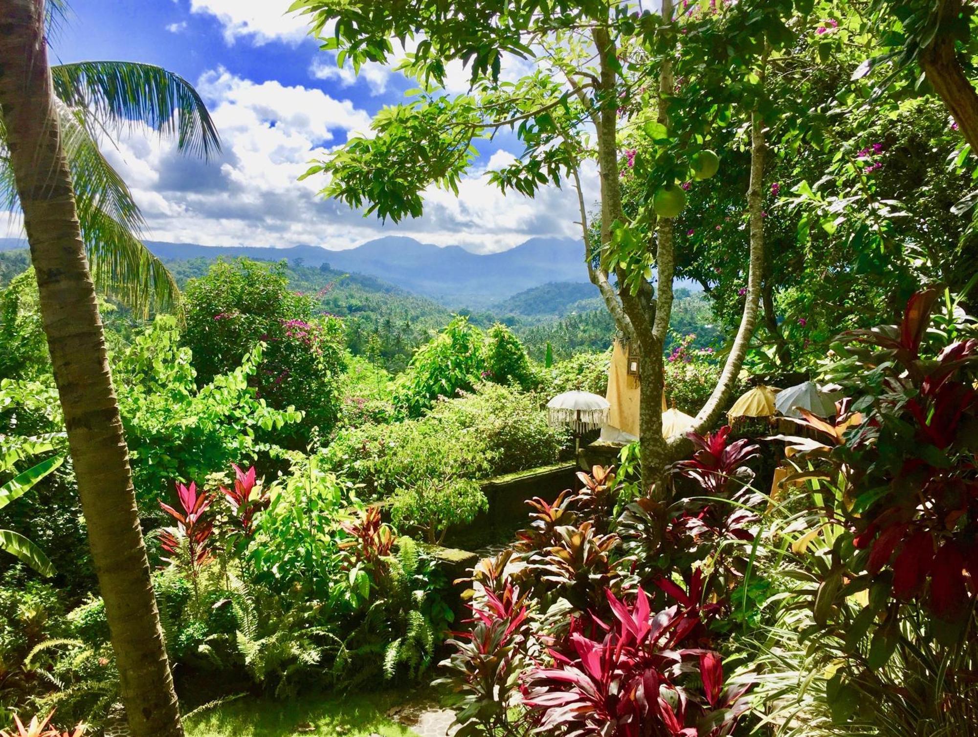 Gunung Paradis Retreat Munduk Eksteriør bilde