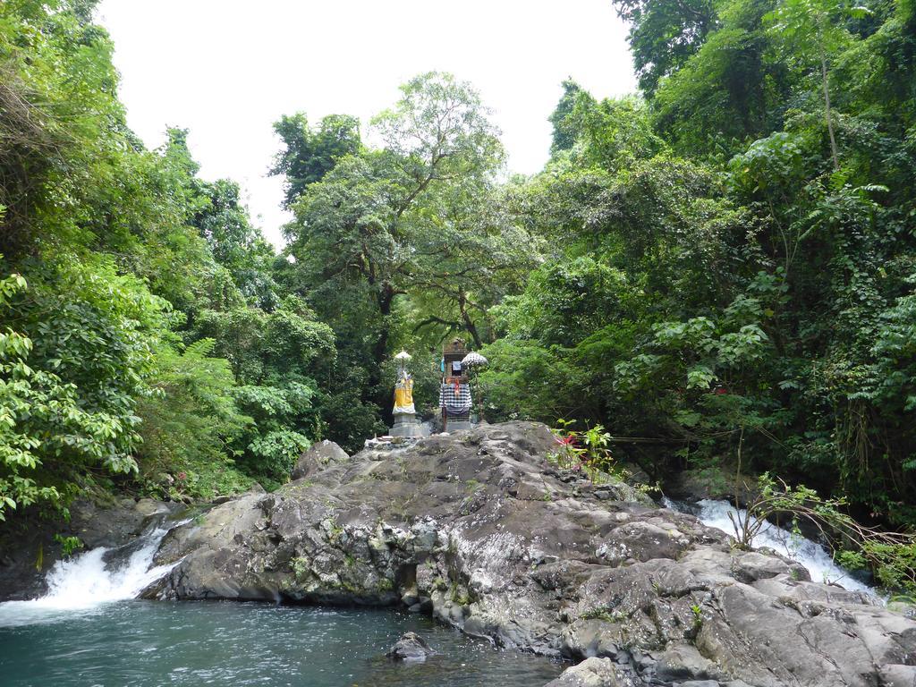 Gunung Paradis Retreat Munduk Eksteriør bilde