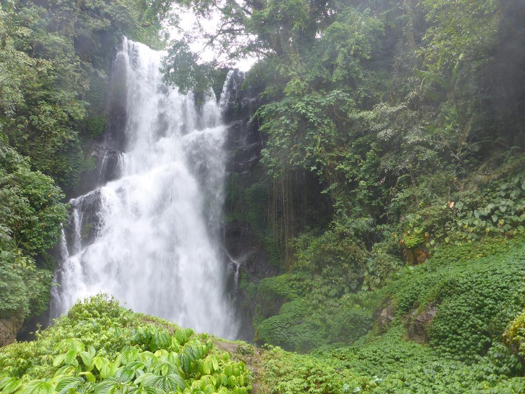 Gunung Paradis Retreat Munduk Eksteriør bilde