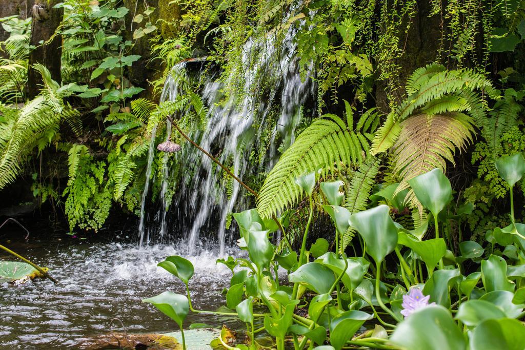 Gunung Paradis Retreat Munduk Eksteriør bilde